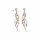 Swallow Falls Silver Drop Earrings