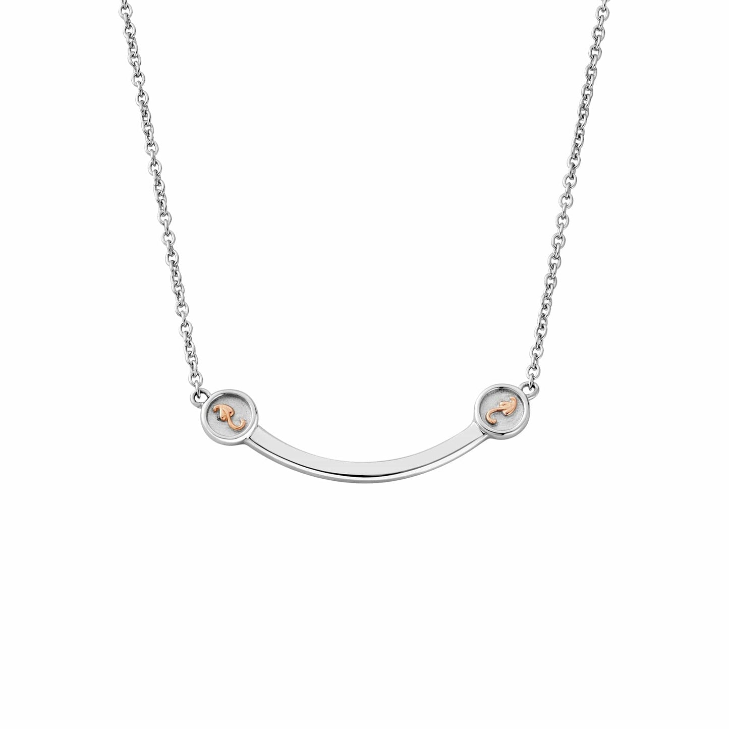 Insignia Sterling Silver Curve Necklace